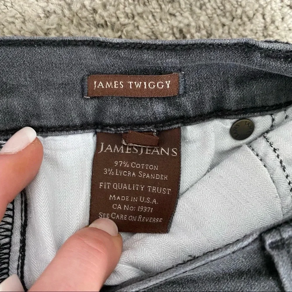 James Jeans Slate James Twiggy Skinny Jeans - Picture 9 of 12